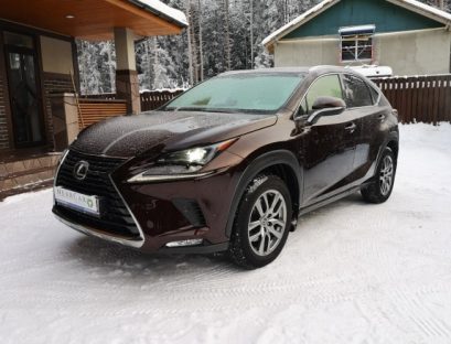 Lexus nx2019